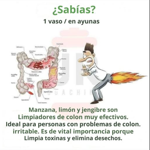 磻 1 vaso en ayunas que tu cuerpo agradecerá Quieres comenzar el día con energía y sentirte más ligero/a Este trío natural lo tiene todo: Manzana Suaviza y mejora la digestión. Limón Alcaliniza y limpia desde dentro. Jengibre Potente antiinflamatorio y digestivo. Juntos forman una mezcla perfecta para limpiar el colon, eliminar toxinas y decirle adiós a la inflamación. Ideal para quienes sufren de colon irritable o simplemente buscan sentirse mejor desde el interior. Puedes tomarlo como jugo o infusión, pero lo más importante es hacerlo en ayunas para aprovechar al máximo sus beneficios. #SaludNatural #Desintoxicación #RemediosCaseros