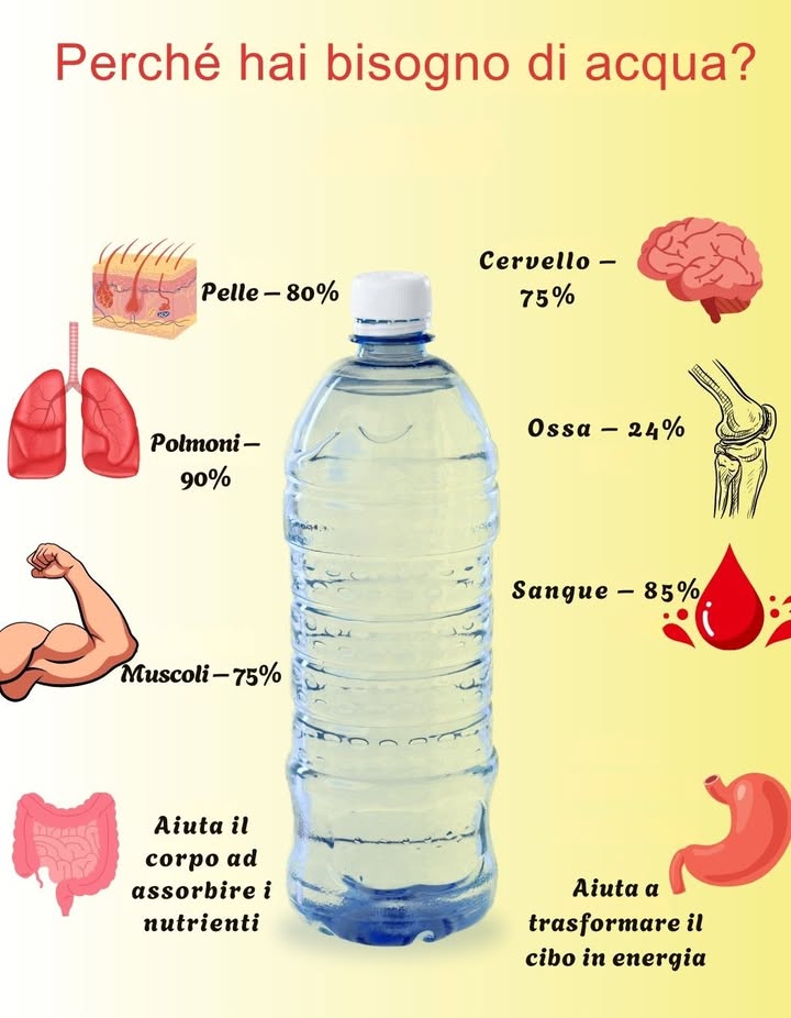 Importanza dellacqua nel corpo umano