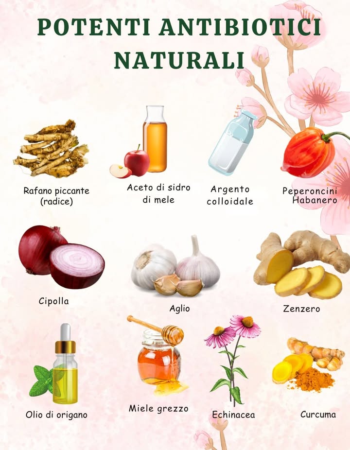 POTENTI ANTIBIOTICI NATURALI