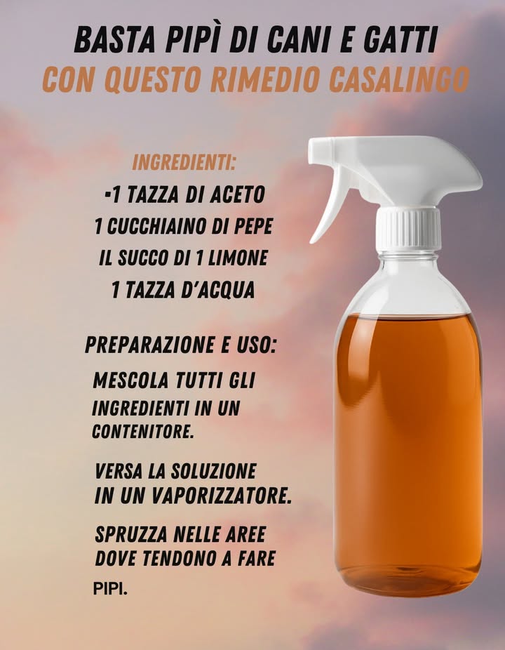 Pulizia Naturale contro gli Odori di Urina di Cani e Gatti 

1 Uno spray casalingo semplice ed efficace per neutralizzare gli odori e impedire agli animali di tornare nello stesso punto. Un mix perfetto tra lazione deodorante dellaceto, la freschezza del limone e il tocco pungente del pepe.

林 Ingredienti:
 1 tazza di aceto
 1 cucchiaino di pepe
 Succo di 1 limone
 1 tazza dacqua

2 Mescola tutto in un contenitore, versa in uno spruzzatore e agita bene.
3 Spruzza sulle zone interessate, lascia agire qualche minuto e tampona con un panno pulito.
4 Per macchie fresche, ripeti lapplicazione 1 o 2 volte.

 Consigli utili:
 Testa prima su tessuti o superfici delicate.
 Non mescolare mai con candeggina o prodotti al cloro.
 Tieni lo spray lontano da animali e bambini, evitando il contatto con occhi e mucose.
 Pulisci subito eventuali incidenti e assicurati che lanimale abbia lettiere pulite o passeggiate regolari.

 Con pochi ingredienti economici ottieni uno spray naturale, efficace e profumato, ideale per mantenere la casa pulita, fresca e accogliente.