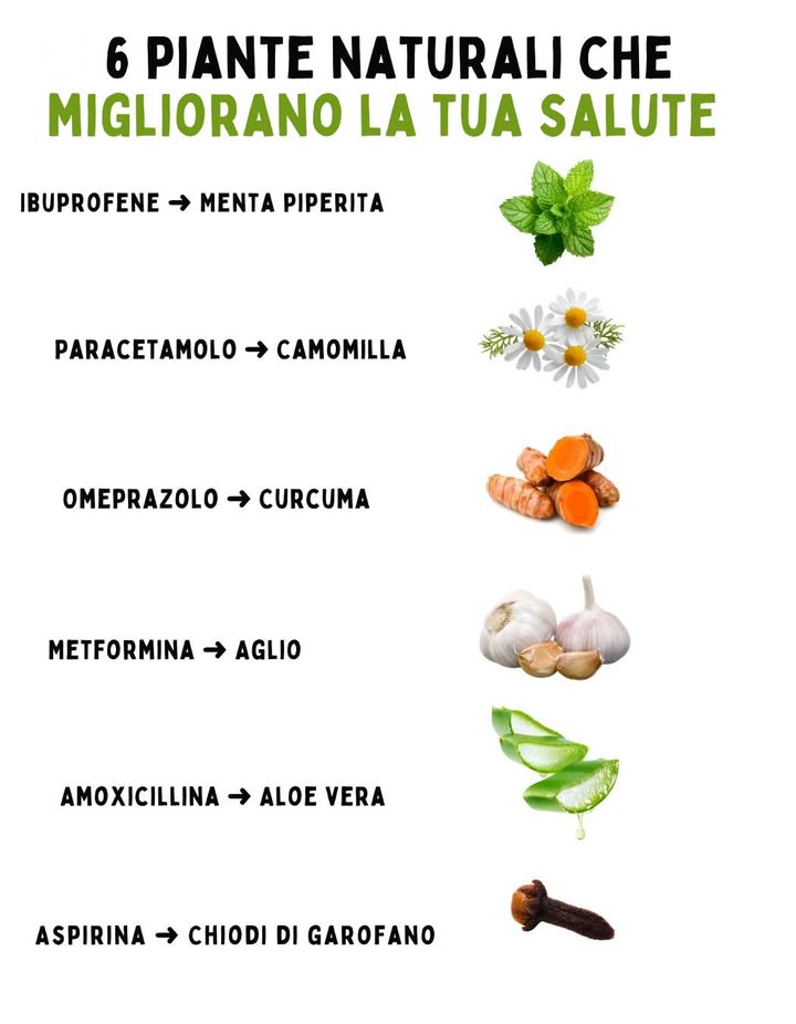 6 piante naturali che migliorano la tua salute