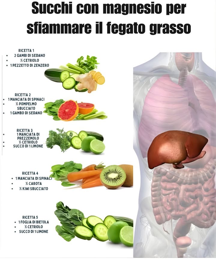 I diversi tipi di succhi per sfiammare il fegato

Sapevi che il magnesio può essere il tuo miglior alleato nella lotta contro il fegato grasso?
Questo minerale non solo aiuta a regolare il metabolismo, ma possiede anche proprietà antinfiammatorie che possono ridurre linfiammazione epatica.
Sostenendo la funzione del fegato e migliorando la sensibilità allinsulina, il magnesio diventa un elemento essenziale per mantenere il fegato sano e in equilibrio.