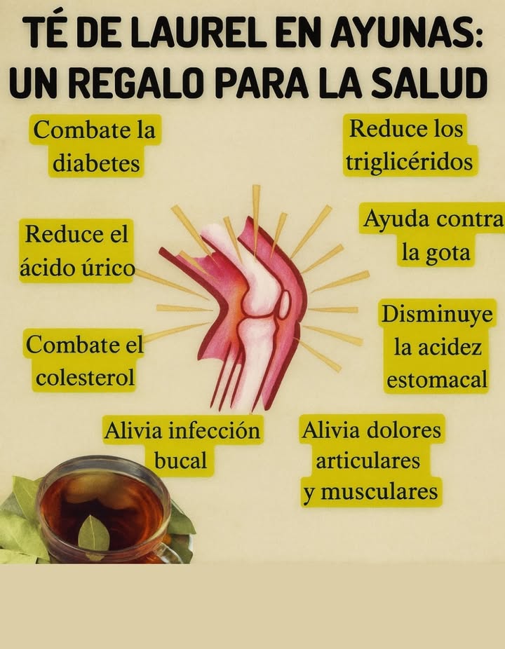 Té De laurel en Ayunas: Un Regalo Oara La Salud