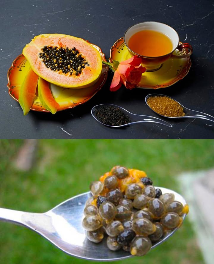 I semi di papaya possono farti risparmiare un sacco di soldi in farmacia
Semi di Papaya: Piccoli ma Potenti Tesori di Salute 

Spesso scartati, i semi di papaya sono in realtà una delle parti più preziose del frutto. Questi piccoli semi dal sapore pepato racchiudono enzimi, antiossidanti e composti bioattivi che aiutano la digestione, disintossicano il fegato, rafforzano limmunità e molto altro. Inserirli nella dieta quotidiana può diventare un gesto semplice ma benefico per la salute generale.

 13 Benefici Principali dei Semi di Papaya

 Migliorano la digestione  Ricchi di papaina, aiutano a scomporre le proteine e riducono gonfiore e stitichezza.
 Depurano il fegato  Favoriscono leliminazione delle tossine e migliorano la funzionalità epatica.
 Proteggono i reni  Aiutano a prevenire danni e insufficienza renale legati allaccumulo di tossine.
 Antinfiammatori naturali  Alleviano gonfiori e dolori articolari, utili per chi soffre di artrite.
 Antibatterici e antimicrobici  Contrastano batteri nocivi come E. coli e Salmonella.
 Eliminano i parassiti intestinali  Contengono carpaine, un composto che aiuta a liberare lintestino.
 Rendono la pelle più sana  Gli antiossidanti A e C combattono i radicali liberi e rallentano linvecchiamento.
 Abbassano il colesterolo cattivo LDL  Migliorano la salute del cuore grazie a fibre e polifenoli.
 Rafforzano il sistema immunitario  Aiutano lorganismo a difendersi da virus e batteri.
 Azione antitumorale  I fitonutrienti contrastano lo stress ossidativo legato allo sviluppo di cellule cancerose.
 Favoriscono il controllo del peso  Ricchi di fibre, aumentano il senso di sazietà e stimolano il metabolismo.
 Regolano la pressione sanguigna  Grazie a magnesio e potassio, migliorano la circolazione.
 Stabilizzano la glicemia  Aiutano a mantenere stabili i livelli di zucchero nel sangue.

 Come Usarli nella Vita Quotidiana

 Frullati e smoothie: aggiungi 1 cucchiaino di semi macinati per una spinta digestiva.
 Insalate: spolverali interi o tritati per un tocco speziato simile al pepe nero.
 Tisana: fai bollire i semi per 10 minuti e bevi come tè depurativo.
 Spezia naturale: una volta essiccati e macinati, usali al posto del pepe.
 Crudi: puoi masticarne pochi al giorno, ma inizia con piccole quantità per abituarti al gusto intenso.

 Come Preparare la Polvere di Semi di Papaya

Raccogli i semi da una papaya matura.

Lava bene per eliminare i residui di polpa.

Asciuga allombra per 57 giorni finché diventano duri come grani di pepe.

Macinare finemente con un macinino o mortaio.

Conservare in barattolo di vetro ermetico, al fresco e al buio.

 Attenzione

 Consuma solo piccole quantità: leccesso può irritare lo stomaco.
 Evita in gravidanza o se stai cercando di concepire: i semi possono influenzare la fertilità.
 Se sei allergico al lattice o alla papaya, non usarli.
 Consulta sempre un professionista prima di inserirli regolarmente nella dieta.

 I semi di papaya sono piccoli ma straordinariamente potenti: aiutano fegato, intestino, cuore e pelle in modo naturale.
Aggiungili con moderazione ai tuoi piatti o smoothie e trasforma uno scarto in un vero superalimento tropicale.