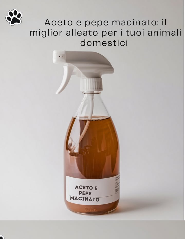 Addio alla pipì di cani e gatti con questo rimedio naturale 
Se vuoi evitare che i tuoi animali domestici o quelli randagi orinino in certi punti, prova questa miscela naturale ed efficace.

 Ingredienti:
 1 tazza di aceto
 1 cucchiaio di pepe
 Succo di 1 limone
 1 tazza dacqua

 Preparazione e utilizzo:
1 Mescola tutti gli ingredienti in un contenitore.
2 Versa la soluzione in uno spruzzatore.
3 Spruzza nelle zone dove di solito fanno la pipì.

Questo rimedio è sicuro e aiuta a mantenere gli ambienti puliti senza danneggiare gli animali. 
#RimediNaturali #Animali #CasaPulita