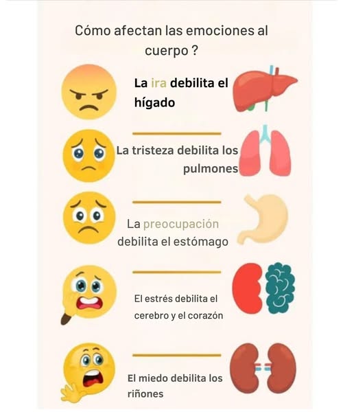 Cómo las emociones influyen en nuestra salud física En una época marcada por una digitalización acelerada, comprender el vínculo entre nuestras emociones y nuestro cuerpo es fundamental para preservar nuestro bienestar. La ira: Puede debilitar el hígado. Aprender a respirar profundamente y a expresar la ira de manera saludable es esencial. La tristeza y el duelo: Afectan los pulmones y pueden perturbar la respiración. Expresarse a través de la palabra o la escritura, o pasar tiempo en la naturaleza, puede aliviar estas emociones. La preocupación: Pesa sobre el estómago y puede provocar trastornos digestivos. Una alimentación equilibrada y ejercicios de relajación son recomendados. El estrés: Impacta el corazón y el cerebro, perjudicando la memoria y la salud cardiovascular. La meditación y un buen sueño son remedios poderosos. El miedo: Actúa sobre los riñones y agota las glándulas suprarrenales. Adoptar rutinas relajantes y rodearse de una buena red social ayuda a restaurar el equilibrio interior.