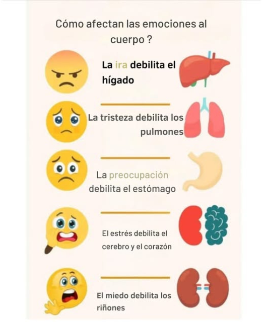 Cómo las emociones influyen en nuestra salud física En una época marcada por una digitalización acelerada, comprender el vínculo entre nuestras emociones y nuestro cuerpo es fundamental para preservar nuestro bienestar. La ira: Puede debilitar el hígado. Aprender a respirar profundamente y a expresar la ira de manera saludable es esencial. La tristeza y el duelo: Afectan los pulmones y pueden perturbar la respiración. Expresarse a través de la palabra o la escritura, o pasar tiempo en la naturaleza, puede aliviar estas emociones. La preocupación: Pesa sobre el estómago y puede provocar trastornos digestivos. Una alimentación equilibrada y ejercicios de relajación son recomendados. El estrés: Impacta el corazón y el cerebro, perjudicando la memoria y la salud cardiovascular. La meditación y un buen sueño son remedios poderosos. El miedo: Actúa sobre los riñones y agota las glándulas suprarrenales. Adoptar rutinas relajantes y rodearse de una buena red social ayuda a restaurar el equilibrio interior.