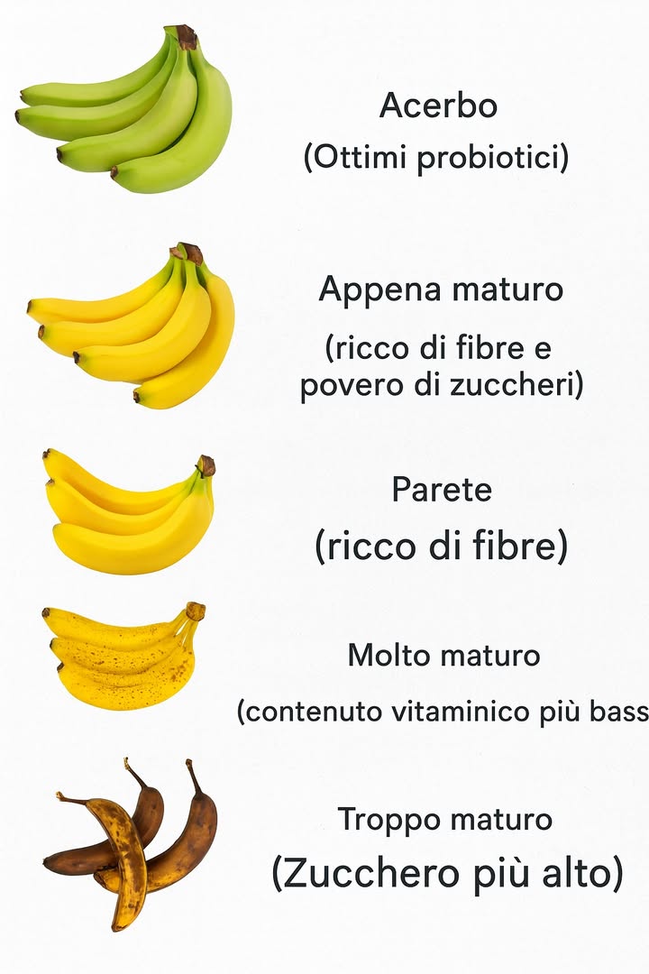 Le diverse fasi di maturazione delle banane e i loro benefici 

Acerbo
In questa fase la banana è ancora verde e ricca di amido resistente, che funziona come probiotico naturale e favorisce il benessere intestinale.

Appena maturo
Il frutto diventa giallo, conserva molte fibre ed è povero di zuccheri. Ideale per chi vuole energia a lento rilascio senza picchi glicemici.

Maturo
La banana è morbida, dolce e ricca di fibre, perfetta per dare energia e sazietà durante la giornata.

Molto maturo
Il contenuto vitaminico diminuisce leggermente, ma la polpa è molto più dolce e facilmente digeribile, adatta per frullati o dolci fatti in casa.

Troppo maturo
Lo zucchero è più alto e la consistenza molto morbida. Anche se meno nutriente rispetto alle fasi precedenti, è ottimo da utilizzare in ricette come torte, pancake o banana bread.