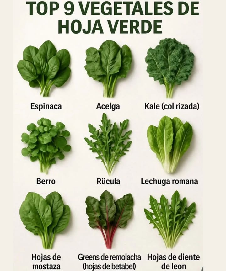 top 9 vegetables de hoja verde