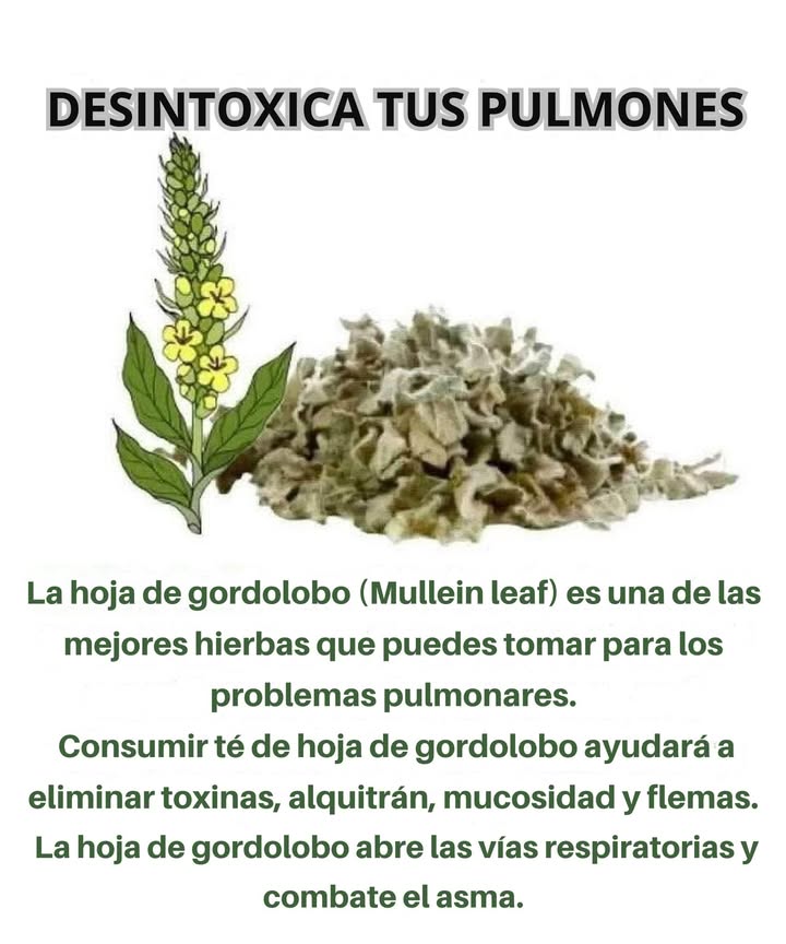DESINTOXICA TUS PULMONES