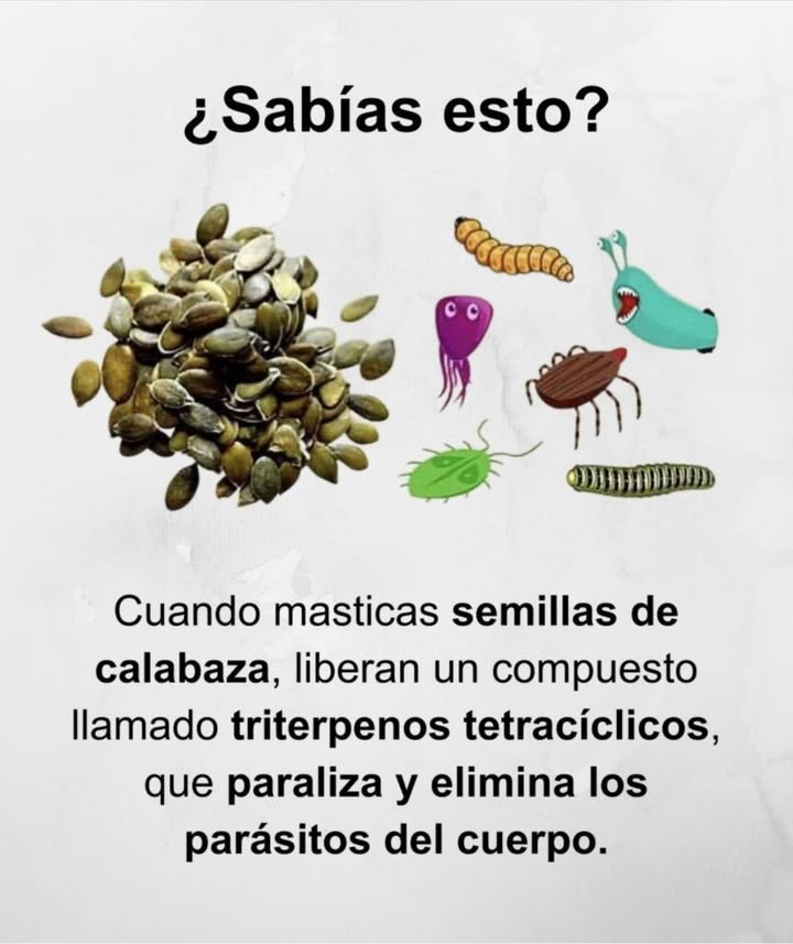 Sabias esto