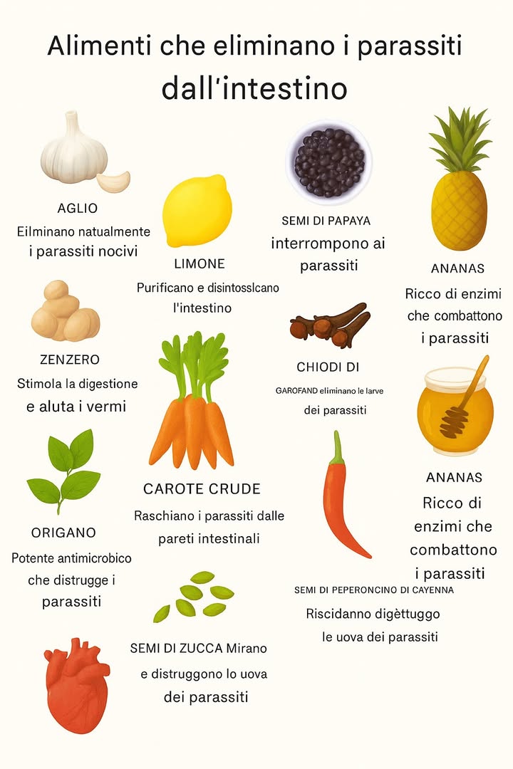 Alimenti che aiutano a eliminare i parassiti intestinali 

Aglio
Agisce come un potente antibatterico naturale, eliminando in modo efficace i parassiti nocivi presenti nellintestino.

Limone
Depura e disintossica lorganismo, creando un ambiente intestinale sfavorevole alla sopravvivenza dei parassiti.

Zenzero
Favorisce la digestione, stimola il transito intestinale e contribuisce alleliminazione dei vermi.

Origano
Grazie alle sue proprietà antimicrobiche e antinfiammatorie, aiuta a distruggere i parassiti e a prevenire le infezioni.

Carote crude
Le fibre delle carote raschiano dolcemente le pareti intestinali, aiutando a rimuovere i parassiti e le loro uova.

Semi di papaya
Interrompono la crescita e la riproduzione dei parassiti, favorendo una pulizia intestinale naturale.

Semi di zucca
Mirano ai parassiti intestinali e ne distruggono le uova, proteggendo la flora batterica benefica.

Chiodi di garofano
Distruggono le larve dei parassiti e impediscono nuove infestazioni grazie alle loro proprietà antiparassitarie.

Ananas
Ricco di enzimi digestivi che aiutano a dissolvere e combattere i parassiti intestinali.

Semi di peperoncino di Cayenna
Riscaldano il corpo, stimolano la circolazione e contribuiscono a distruggere le uova dei parassiti.