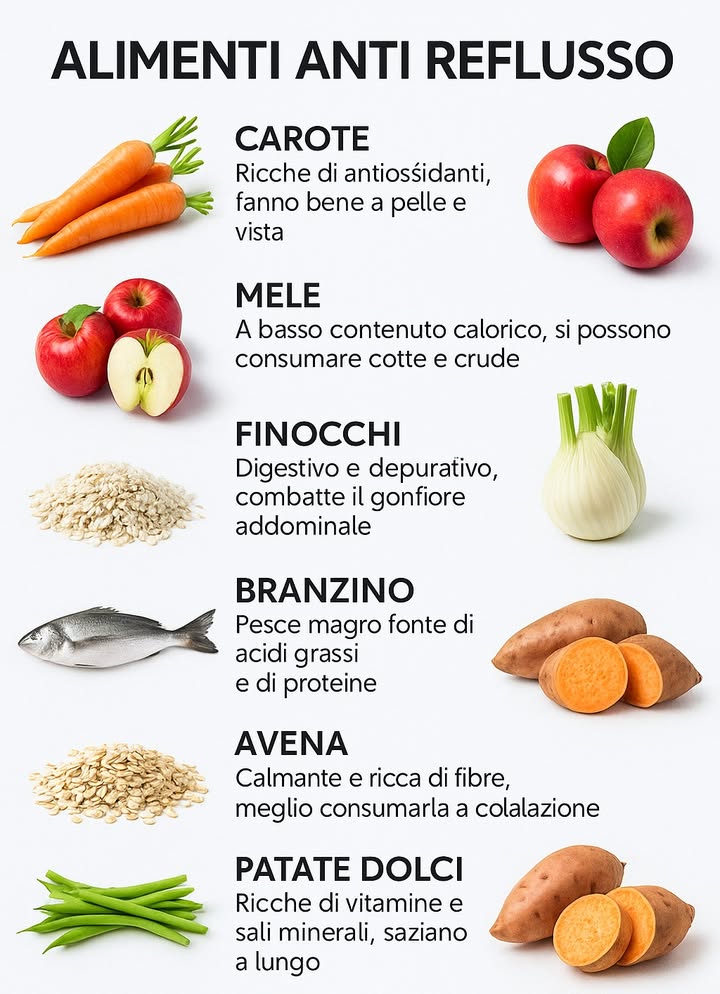 復 Alimenti che aiutano a ridurre il reflusso 復

Carote
Ricche di antiossidanti, favoriscono il benessere della pelle e della vista.

Mele
Crude o cotte, leggere e con basso indice glicemico.

Riso
Fonte di carboidrati complessi e facile da digerire.

Finocchi
Depurativi e digestivi, utili per ridurre il gonfiore addominale.

Branzino
Pesce magro con buone quantità di proteine e folati.

Fagiolini
Rinfrescanti, diuretici e ricchi di fibre.