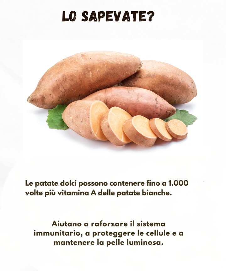 Il Potere delle Patate Dolci 

Le patate dolci sono una fonte naturale di energia ricca di sostanze che sostengono lorganismo e aiutano a proteggere le cellule. Offrono un apporto nutritivo elevato e si distinguono per il loro contenuto di vitamina A, molto superiore rispetto alle patate comuni.

1 Ricche di vitamina A
Le patate dolci possono fornire quantità di vitamina A notevolmente più alte rispetto alle patate tradizionali. Questo nutriente contribuisce al buon funzionamento del sistema immunitario, sostiene la vista e favorisce il processo di riparazione dei tessuti.

2 Elevato contenuto di beta-carotene
Il loro colore intenso è dovuto al beta-carotene, un antiossidante naturale che aiuta a contrastare lo stress ossidativo. Ricerche condotte da istituzioni come Harvard e i National Institutes of Health collegano il consumo di alimenti ricchi di beta-carotene a un minore rischio di invecchiamento precoce e a una migliore protezione cardiovascolare.

3 Sostegno generale alla vitalità
Le patate dolci apportano fibre, vitamine e minerali che contribuiscono al benessere quotidiano.

4 Versatili e facili da integrare
Possono essere gustate al forno, grigliate o schiacciate, rendendo semplice inserirle in una dieta equilibrata.

Le patate dolci rappresentano quindi un alimento nutriente e saporito, utile per sostenere energia e vitalità in modo naturale.