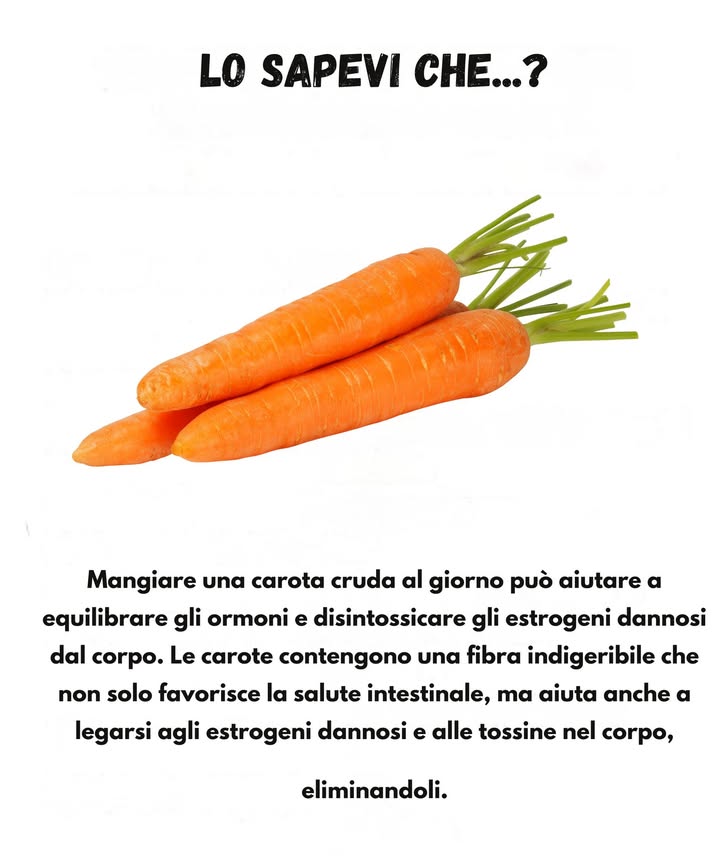 凌 Il Beneficio Quotidiano della Carota Cruda 凌

Mangiare una carota cruda ogni giorno può contribuire al benessere ormonale e al naturale processo di eliminazione delle sostanze indesiderate. Le carote contengono una fibra non digeribile che sostiene la regolarità intestinale e favorisce la rimozione di composti che lorganismo non necessita più, aiutando il corpo a mantenere un equilibrio sano.