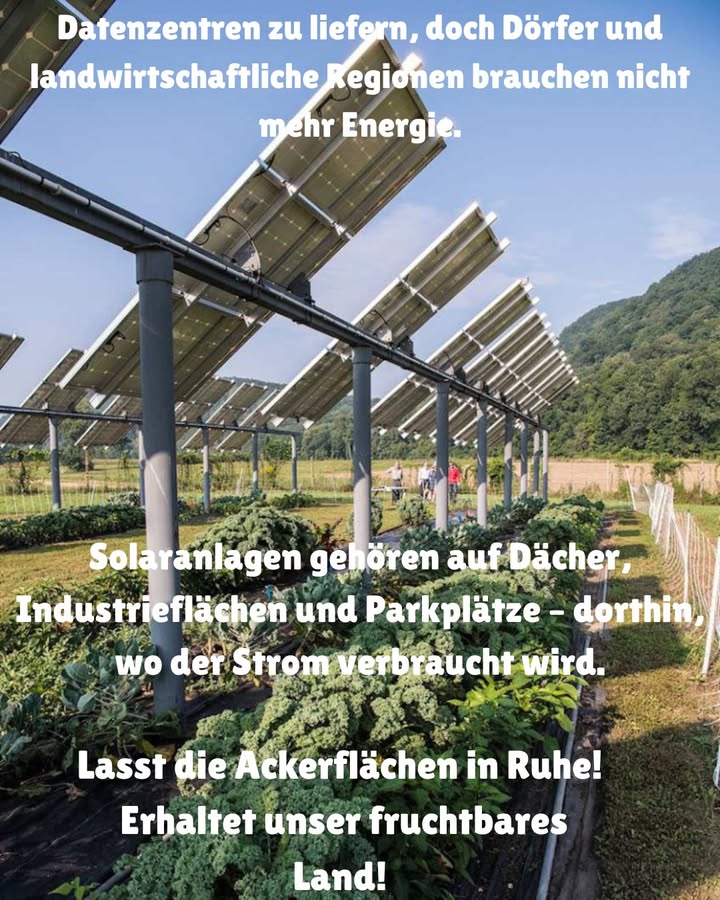 Erneuerbare Energie muss wachsen, doch Ackerland bleibt Ackerland. Felder sollen unberührt bleiben.
 Solaranlagen werden häufig auf fruchtbaren Böden aufgebaut
 Dadurch verschwinden Anbauflächen und landwirtschaftliche Existenzen
 Dörfer brauchen keinen riesigen zusätzlichen Strom, Großstädte und Rechenzentren schon
 Solarpanels gehören auf Dächer, Parkplätze und städtische Flächen, nicht auf die Felder, die uns ernähren