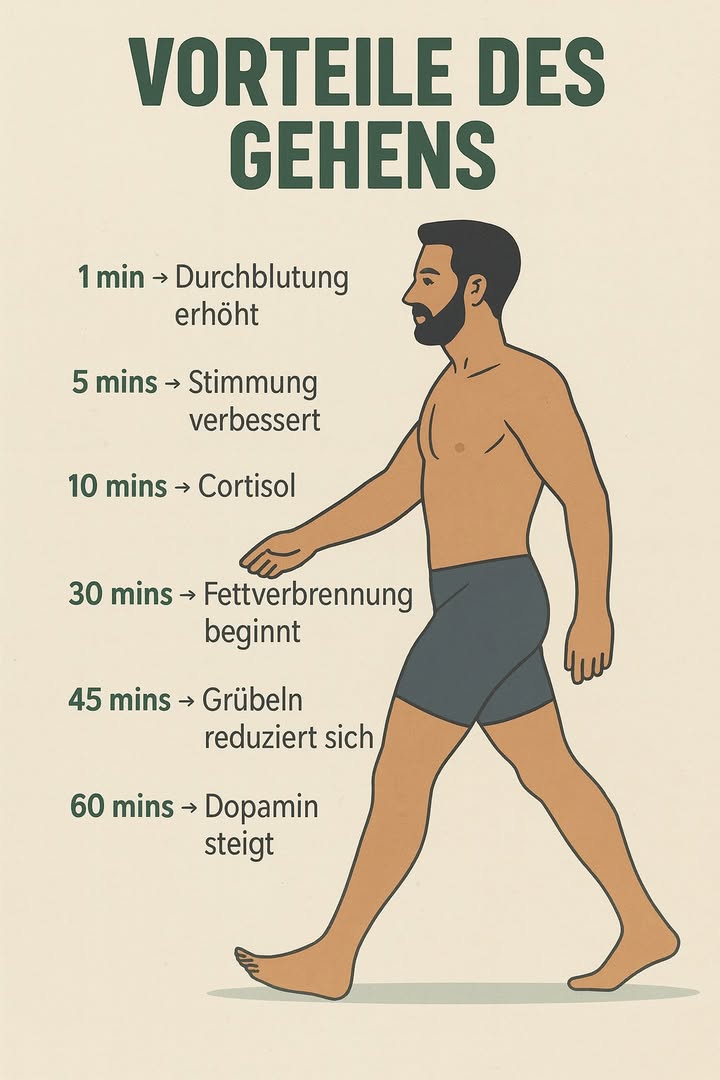 30 bis 60 Minuten tägliches Gehen kann Ihr Leben wirklich verändern!
Vorteile des Gehens:
 1 min  Der Blutkreislauf wird aktiviert
 5 min  Ihre Stimmung beginnt sich zu verbessern
 10 min  Cortisol das Stresshormon geht zurück
 15 min  Der Blutzuckerspiegel beginnt sich zu stabilisieren
 30 min  Der Körper beginnt Fett zu verbrennen
 45 min  Geistige Müdigkeit und Überdenken lassen nach
 60 min  Dopamin, das Glückshormon, steigt an 
Gehen ist eine einfache, natürliche und leicht zugängliche Gewohnheit, die Körper und Geist gleichermaßen unterstützt. Beginnen Sie noch heute mit kleinen Schritten und genießen Sie sofort die Vorteile! 
#fblifestyle