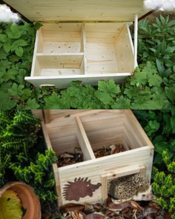 In nur 10 Schritten baust du ein sicheres und gemütliches Igelhaus! 璉

Du möchtest Igel in deinem Garten willkommen heißen und ihnen einen sicheren Unterschlupf bieten? Mit dieser einfachen Schritt-für-Schritt-Anleitung kannst du in kürzester Zeit ein gemütliches Igelhaus bauen, das deinen stacheligen Freunden Schutz und ein Zuhause bietet.

Materialien, die du brauchst:

Holzplatten oder Sperrholz mindestens 1 cm dick 漢

Holzschrauben 

Haken und Scharniere optional, für eine aufklappbare Tür 

Dachpappe oder Ziegeldach für den Wetterschutz 

Isoliermaterial wie Stroh, Heu oder Laub 

Hammer , Säge 漢, Schraubenzieher 藺

Schritt 1: Die richtige Größe wählen 
Die Maße deines Igelhauses sollten etwa 40 cm x 40 cm x 30 cm betragen. Achte darauf, dass der Eingang groß genug ist etwa 12-15 cm breit, damit der Igel bequem hinein- und hinauslaufen kann.

Schritt 2: Holz zuschneiden 
Schneide die Holzplatten auf die benötigten Maße zu. Du brauchst 4 Seitenwände, 1 Bodenplatte und 1 Dachplatte.

Schritt 3: Die Seitenwände verbinden 
Schraube die Seitenwände mit der Bodenplatte zusammen. Verwende Schrauben, um sicherzustellen, dass die Wände fest sitzen.

Schritt 4: Der Eingang 
Säge ein rechteckiges Loch in die Frontplatte des Hauses. Der Eingang sollte nicht zu groß sein, damit der Igel sicher geschützt ist.

Schritt 5: Das Dach vorbereiten 
Schneide die Dachplatte so zu, dass sie leicht über die Wände hinausragt. Dies schützt das Haus vor Regen. Befestige das Dach entweder fest oder, noch besser, mit Scharnieren, damit du es für Wartungszwecke öffnen kannst.

Schritt 6: Das Dach abdichten 
Verwende Dachpappe oder Ziegeldach, um das Dach wetterfest zu machen. Achte darauf, dass es gut abgedichtet ist, damit keine Feuchtigkeit ins Haus eindringen kann.

Schritt 7: Innenausstattung 
Lege das Innere des Hauses mit Stroh, Heu oder Laub aus. Diese natürlichen Materialien sorgen für eine gute Isolierung und bieten dem Igel einen gemütlichen Schlafplatz.

Schritt 8: Das Haus positionieren 
Stelle das Igelhaus an einem ruhigen, geschützten Ort in deinem Garten auf. Ideal ist ein Platz unter Büschen oder in der Nähe von Sträuchern, wo der Igel genügend Verstecke und Ruhe hat.

Schritt 9: Dekoration optional 
Verziere das Haus nach Belieben mit natürlichen Materialien oder Pflanzen. Denke daran, dass das Haus hauptsächlich funktional ist, also vermeide Dekorationen, die den Igel stören könnten.

Schritt 10: Pflege und Wartung 粒
Kontrolliere das Igelhaus regelmäßig auf Schäden oder Verschmutzungen. Achte darauf, dass es trocken bleibt und das Isoliermaterial nicht zu feucht wird. Gelegentlich kannst du das Material im Inneren austauschen, damit es stets gemütlich bleibt.

Fertig! Dein Igelhaus ist jetzt bereit für den Einzug! 璉
Mit diesen einfachen Schritten hast du ein sicheres und gemütliches Zuhause für Igel geschaffen. Dein Garten wird dadurch nicht nur ein sicherer Zufluchtsort für Igel, sondern auch ein kleines Paradies für viele andere Tiere!