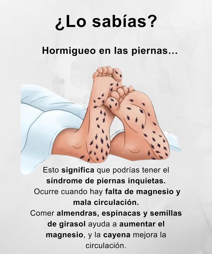 Hormigueo en las piernas
Señal de desequilibrio y agotamiento invisible

Cuando aparece con frecuencia, el cuerpo pide descanso, mejor circulación y más magnesio.
Los alimentos ricos en este mineral almendras, espinacas y semillas de girasol ayudan a recuperar el equilibrio.
La cayena aporta un impulso extra para activar la circulación y aliviar la pesadez en las piernas.

Un recordatorio simple para cuidar tu bienestar diario.