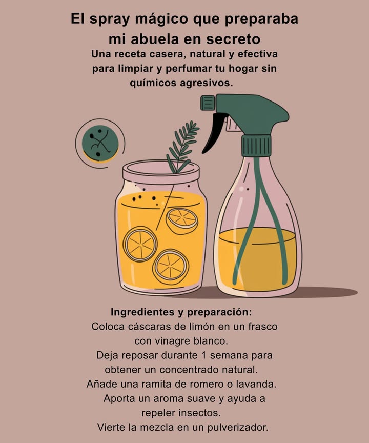 林 El spray mágico que preparaba mi abuela en secreto   
Una receta casera, natural y efectiva para limpiar y perfumar tu hogar sin químicos agresivos.  
 Ingredientes y preparación:  
 Coloca cáscaras de limón en un frasco con vinagre blanco.  
 Deja reposar durante 1 semana para obtener un concentrado natural.  
 Añade una ramita de romero o lavanda.  
 Aporta un aroma suave y ayuda a repeler insectos.  
 Vierte la mezcla en un pulverizador.  
犯 Úsalo en ventanas, encimeras y fregaderos.  
 Limpia, desinfecta y da brillo sin necesidad de enjuagar.  
 Agita suavemente antes de cada uso.  
 Un toque de tradición para un hogar saludable.