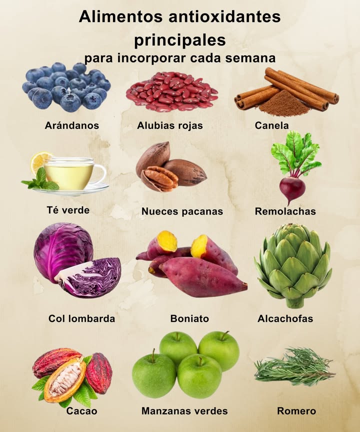 Alimentos antioxidantes que fortalecen tu salud

Incorpora estos poderosos alimentos cada semana para combatir el envejecimiento celular, proteger el corazón y reforzar las defensas:

 Arándanos
 Alubias rojas
 Canela
 Té verde
 Nueces pacanas
 Remolachas
 Col lombarda
 Boniato
 Alcachofas
 Cacao
 Manzanas verdes
 Romero 

 Naturaleza pura para cuidar tu cuerpo desde dentro.