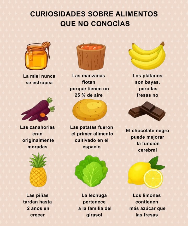 Curiosidades deliciosas que sorprenden La miel Un alimento eterno que nunca se estropea. Las manzanas Flotan gracias a su 25 % de aire. Los plátanos Botánicamente son bayas, aunque las fresas no lo sean. 凌 Las zanahorias Antiguamente eran moradas antes de volverse naranjas. 凜 Las patatas Primer alimento cultivado en el espacio. El chocolate negro Rico en antioxidantes que favorecen la función cerebral. Las piñas Necesitan hasta 2 años para llegar a su tamaño final. 塞 La lechuga Sorprendentemente pertenece a la familia del girasol. Los limones Su contenido de azúcar supera al de las fresas, aunque su sabor no lo delate. Pequeños datos que hacen la comida aún más fascinante.