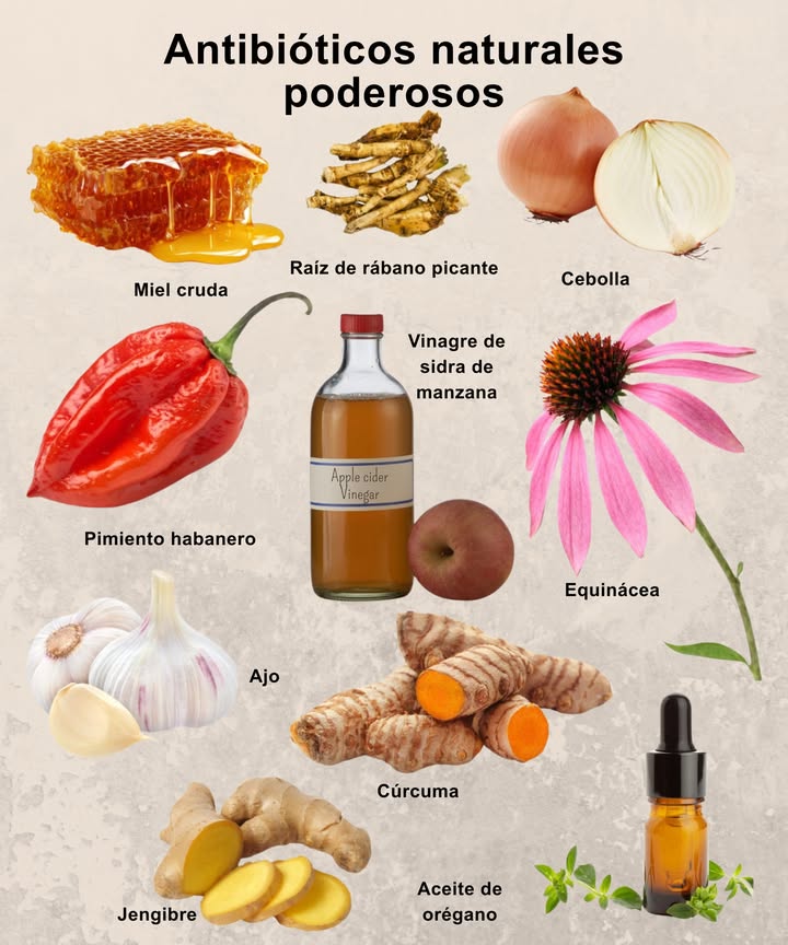 Antibióticos naturales poderosos