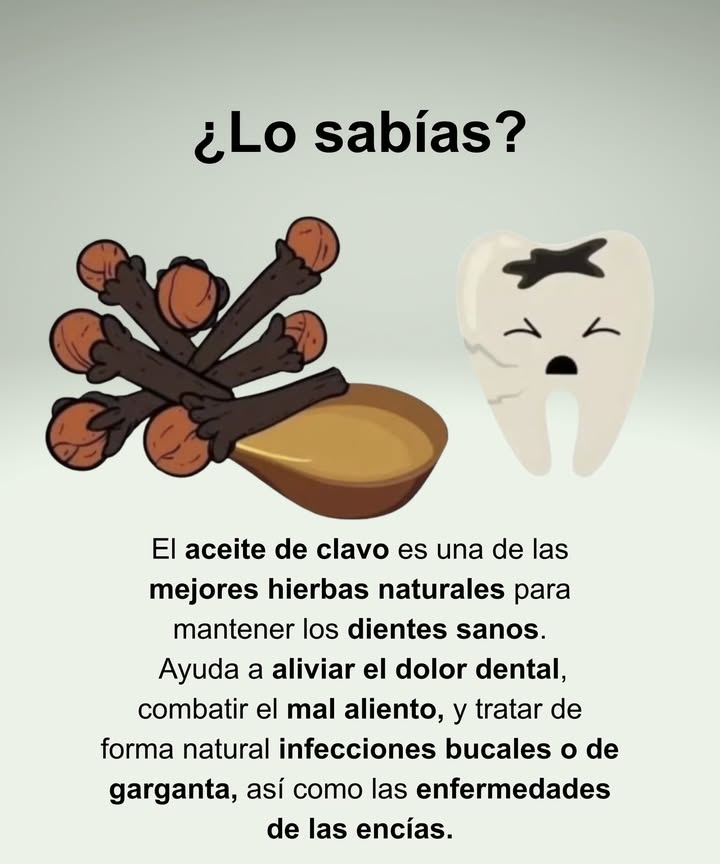 Aceite de clavo: el aliado natural para tu salud bucal Un remedio tradicional con grandes beneficios: Alivia el dolor dental gracias a sus propiedades analgésicas. Combate el mal aliento y refresca la boca de forma natural. Previene infecciones bucales y de garganta. Fortalece las encías y protege los dientes. Un pequeño frasco con un gran poder curativo y aromático.