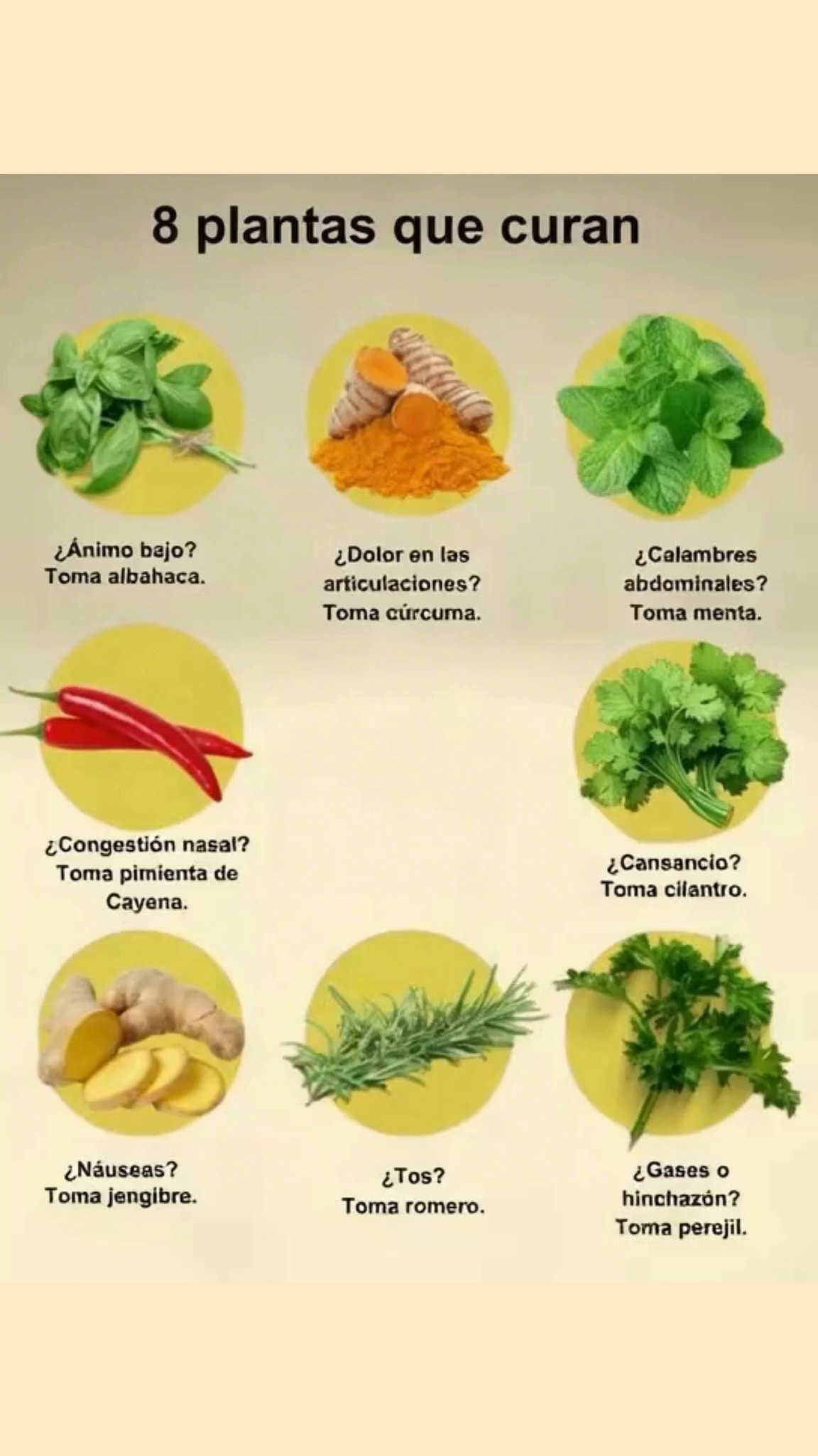 Ánimo bajo  toma albahaca
Dolor en las articulaciones  toma cúrcuma
Calambres abdominales  toma menta
Congestión nasal  toma pimienta de Cayena
Cansancio  toma cilantro
Náuseas  toma jengibre
Tos  toma romero
Gases o hinchazón  toma perejil