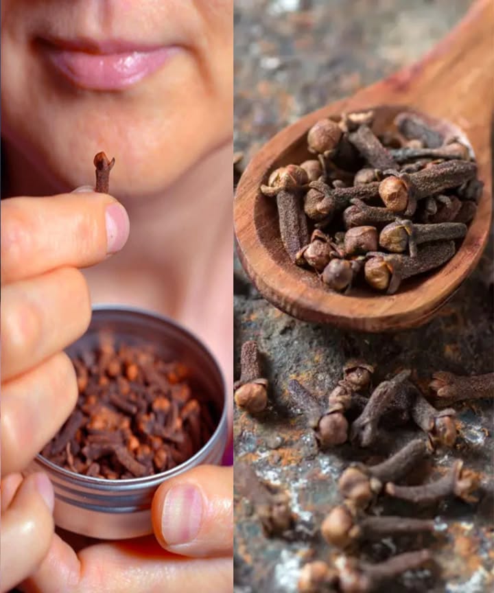 Masticar clavo de olor a diario: un pequeño hábito con enormes beneficios

Los clavos, esos diminutos capullos aromáticos llenos de aceites esenciales, han acompañado la cocina y la medicina tradicional durante siglos. Masticar solo uno o dos al día ofrece un impulso natural para el cuerpo gracias a sus compuestos activos, especialmente el eugenol, famoso por sus efectos analgésicos, antiinflamatorios y antioxidantes.

1. Alivio del dolor de muelas y mejor salud bucal
El eugenol actúa como analgésico natural, calma molestias dentales, combate bacterias y refresca el aliento.

2. Digestión más ligera y equilibrada
Reduce hinchazón, gases y náuseas. Favorece las enzimas digestivas y equilibra la flora intestinal.

3. Protección del hígado
Sus antioxidantes reducen el estrés oxidativo y apoyan los procesos naturales de desintoxicación.

4. Apoyo suave al control del azúcar en sangre
Mejora la sensibilidad a la insulina y favorece niveles más estables de glucosa.

5. Potencial anticancerígeno
Flavonoides y taninos protegen el ADN y favorecen la eliminación de células dañadas.

6. Refuerzo inmunitario
Sus compuestos antimicrobianos fortalecen las defensas y ayudan al cuerpo a resistir infecciones.

7. Respiración más clara
Propiedades antiinflamatorias que alivian irritación respiratoria y mejoran la capacidad de respirar.

8. Corazón más protegido
Reduce oxidación e inflamación, mejora la circulación y ayuda a equilibrar el colesterol LDL.

9. Protección contra úlceras
Estimula el moco gástrico, protegiendo el estómago de la acidez y la irritación.

10. Acción antiparasitaria
Interrumpe el ciclo de parásitos intestinales y apoya una mejor salud digestiva.

11. Bienestar emocional
Influencias suaves sobre serotonina y dopamina que ayudan a reducir estrés y ansiedad.

Cómo usarlo para mejores resultados
 Usar clavos enteros.
 Masticar 12 al día.
 Hacerlo lentamente para liberar sus aceites.
 Tomarlos por la mañana o después de las comidas.

Cómo elegir clavo de calidad
 Enteros, grandes, marrón intenso y muy aromáticos.
 Preferir orgánicos y de origen ético.
 Los de Zanzíbar, Madagascar e Indonesia destacan por su pureza y aroma.

Quién debe evitarlo
 Embarazo o lactancia.
 Trastornos hemorrágicos o anticoagulantes.
 Cirugía próxima 2 semanas.
 Alergia al clavo.
 Niños pequeños.