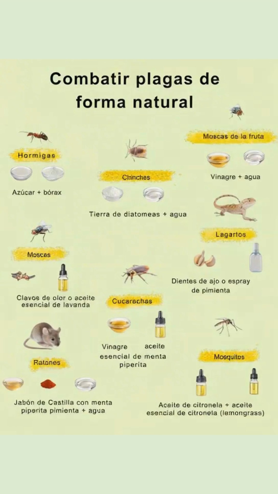 Soluciones simples, efectivas y ecológicas

Hormigas: Azúcar  bórax

Chinches: Tierra de diatomeas  agua

Moscas: Clavos de olor o aceite esencial de lavanda

Moscas de la fruta: Vinagre  agua

Lagartos: Dientes de ajo o spray de pimienta

Cucarachas: Vinagre  aceite esencial de menta piperita

Ratones: Jabón de Castilla con menta piperita  pimienta  agua

Mosquitos: Aceite de citronela  aceite esencial de citronela

 100 % natural y económico