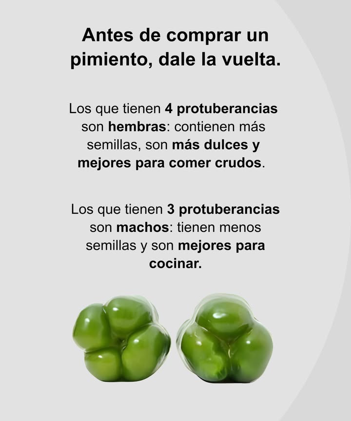 Antes de comprar un pimiento, dale la vuelta

 4 protuberancias = hembra
Más semillas, sabor más dulce y textura ideal para comer crudo o en ensaladas.

 3 protuberancias = macho
Menos semillas, sabor más intenso y perfectos para cocinar, asar o saltear.

 Un simple vistazo a la base del pimiento revela su mejor uso en la cocina.