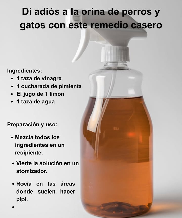 Di adiós a la orina de perros y gatos con este remedio casero  
Si deseas evitar que tus mascotas o animales callejeros orinen en ciertos lugares, prueba esta mezcla natural y efectiva. 

 Ingredientes: 
 1 taza de vinagre 
 1 cucharada de pimienta 
 El jugo de 1 limón 
 1 taza de agua 

 Preparación y uso: 
1 Mezcla todos los ingredientes en un recipiente. 
2 Vierte la solución en un atomizador.
3 Rocía en las áreas donde suelen hacer pipí. 

Este remedio es seguro y ayudará a mantener tus espacios limpios sin dañar a los animalitos.  #RemediosCaseros #Mascotas #HogarLimpio