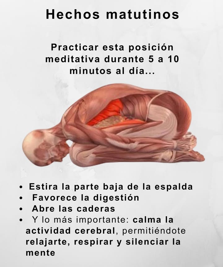 Hechos matutinos

律 Practicar esta posición meditativa de 5 a 10 minutos al día:
 Estira la parte baja de la espalda
 Favorece la digestión
 Abre las caderas
 Calma la actividad cerebral, ayudando a relajarte, respirar y silenciar la mente

 Un hábito simple para empezar el día con equilibrio y serenidad.
