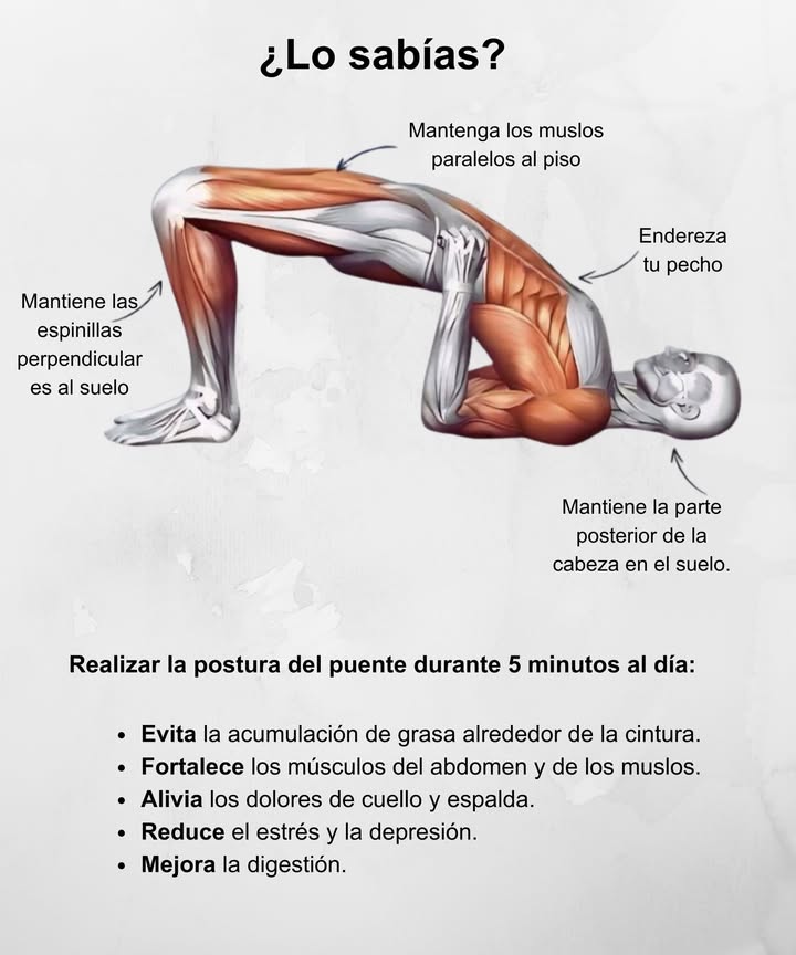 Solo 5 minutos al día 

 Evita la acumulación de grasa en la cintura
 Fortalece los músculos del abdomen y los muslos
 Alivia los dolores de cuello y espalda
 Reduce el estrés y la depresión
 Mejora la digestión

 Un ejercicio sencillo que activa tu cuerpo, mejora tu postura y aporta energía y bienestar cada día.