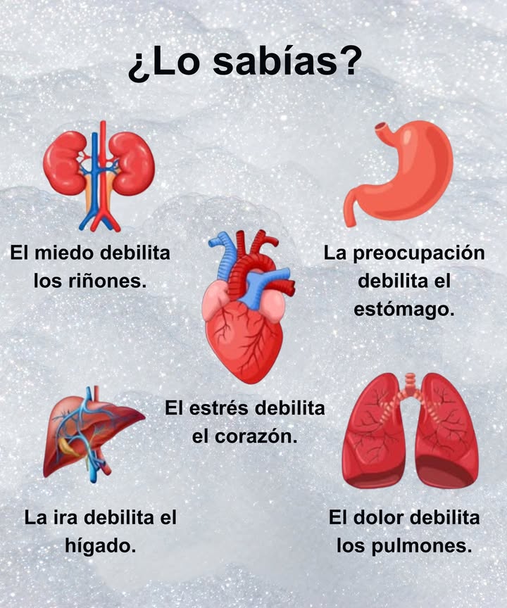 Emociones que afectan tus órganos 

 El miedo debilita los riñones y agota la energía vital.
 La preocupación debilita el estómago y altera la digestión.
 El estrés debilita el corazón y afecta la circulación.
 La ira debilita el hígado, bloqueando el flujo de energía.
 El dolor debilita los pulmones, reduciendo la capacidad respiratoria.

 Cuidar tus emociones es también cuidar tu cuerpo. Mantén la calma, respira profundo y cultiva la serenidad.