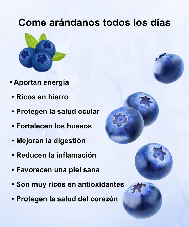 Beneficios diarios de los arándanos 

 Aportan energía natural
 Ricos en hierro y fortalecen los huesos
 Protegen la vista y la salud ocular
 Mejoran la digestión
 Reducen la inflamación
 Favorecen una piel sana y luminosa
𢡄 Llenos de antioxidantes protectores
 Cuidan el corazón y la circulación
