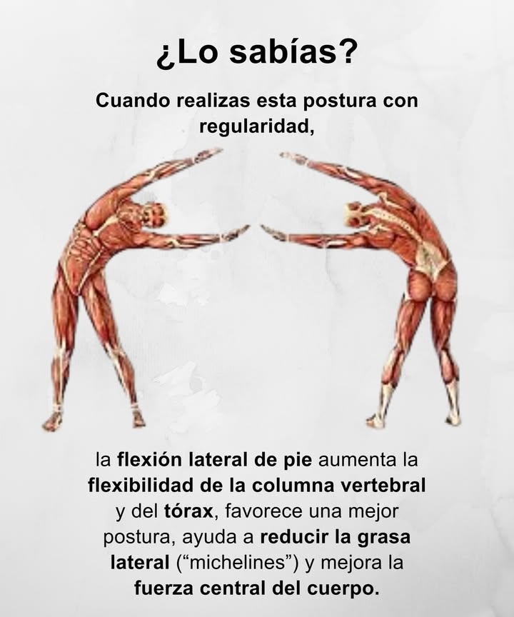 Flexión lateral de pie
Un movimiento sencillo con grandes beneficios

 Aumenta la flexibilidad de la columna vertebral y del tórax.
 Favorece una mejor postura y libera tensión acumulada.
 Ayuda a reducir la grasa lateral michelines.
 Fortalece la zona central del cuerpo y mejora el equilibrio.
 Ideal para practicar a diario, con respiración consciente y movimientos suaves.