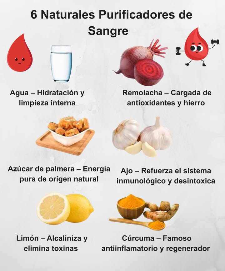 6 Naturales Purificadores de Sangre 

 Agua  Hidratación y limpieza interna
 Remolacha  Cargada de antioxidantes y hierro
 Azúcar de palmera  Energía pura de origen natural
龍 Ajo  Refuerza el sistema inmunológico y desintoxica
 Limón  Alcaliniza y elimina toxinas
 Cúrcuma  Famoso antiinflamatorio y regenerador

 La naturaleza purifica y fortalece tu cuerpo.