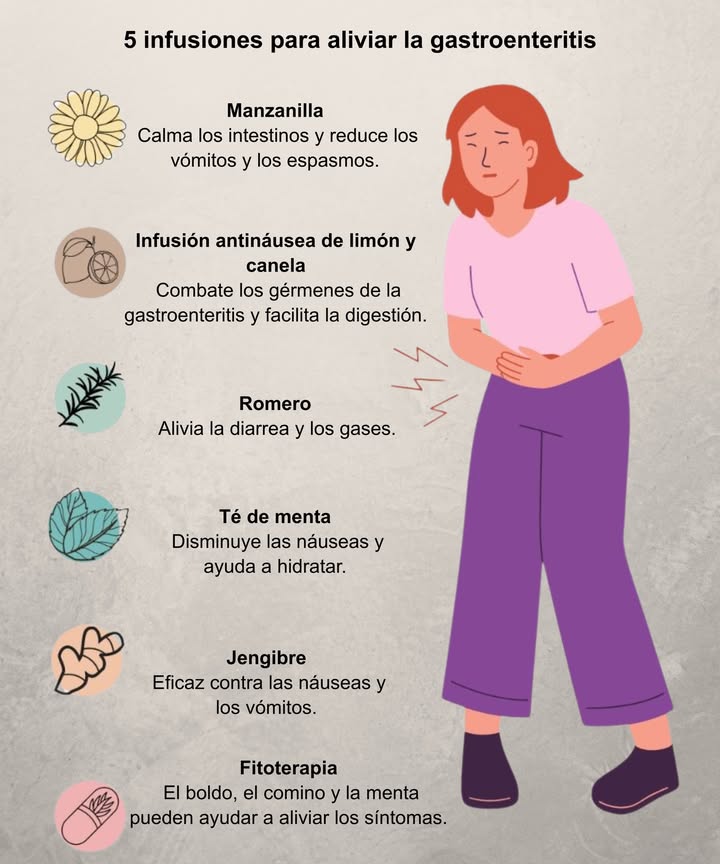Infusiones naturales para aliviar la gastroenteritis

 Manzanilla: calma los intestinos, reduce vómitos y espasmos.
 Limón y canela: combate gérmenes y facilita la digestión.
 Romero: alivia la diarrea y los gases.
 Té de menta: disminuye las náuseas y mantiene la hidratación.
 Jengibre: eficaz contra vómitos y malestar estomacal.
 Fitoterapia: boldo, comino y menta ayudan a reducir los síntomas.

 Suaves, naturales y efectivas para recuperar el equilibrio digestivo.