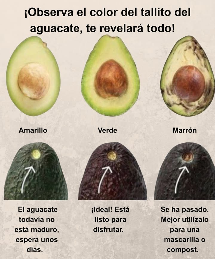 Observa el color del tallito del aguacate, te revelará todo! 陋  
 Amarillo: El aguacate todavía no está maduro, espera unos días.  
 Verde: Ideal! Está listo para disfrutar.  
 Marrón: Se ha pasado. Mejor utilízalo para una mascarilla o compost.  
 Un consejo útil para elegir el aguacate perfecto sin equivocarte.  
#Aguacate #ColorDelTallito #VidaSaludable 陋