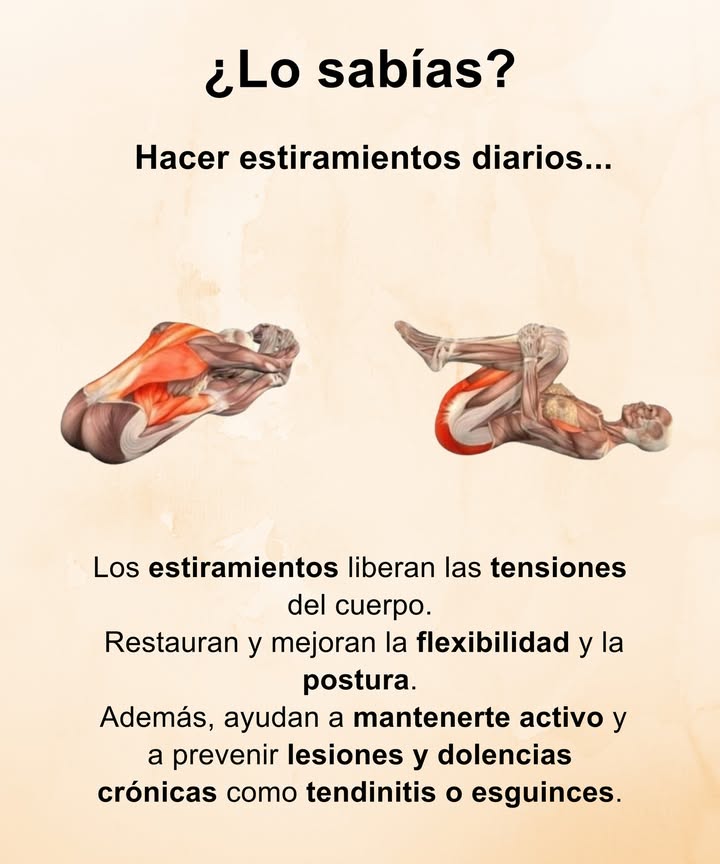 Hacer estiramientos diarios 律

 Libera las tensiones acumuladas del cuerpo.
 Restaura y mejora la flexibilidad y la postura.
 Mantiene el cuerpo activo y equilibrado.
 Previene lesiones, tendinitis y dolencias crónicas.
 Un hábito sencillo que fortalece cuerpo y mente cada día.