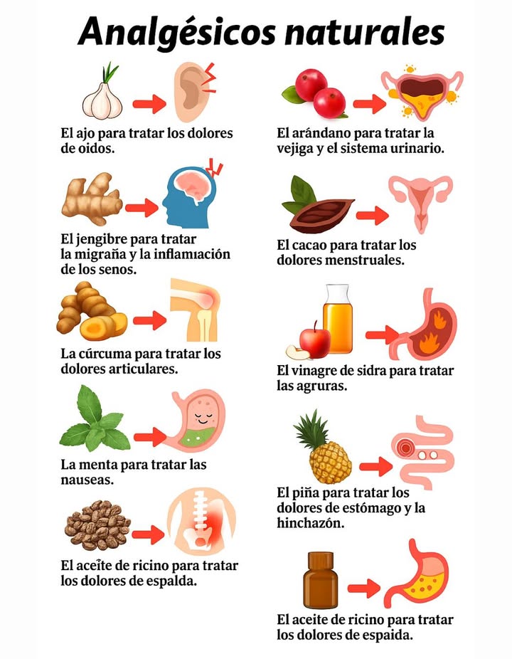 Analgésicos naturales: alivio desde la naturaleza 

El ajo ayuda a calmar los dolores de oídos gracias a sus propiedades antibacterianas. El arándano protege la vejiga y el sistema urinario, previniendo infecciones. El jengibre combate la migraña y la inflamación de los senos paranasales. La cúrcuma es ideal para aliviar dolores articulares por su potente acción antiinflamatoria. La menta alivia las náuseas y favorece la digestión. El cacao ayuda a reducir los dolores menstruales al mejorar la circulación y liberar endorfinas. El vinagre de sidra calma la acidez estomacal y las agruras. La piña favorece la digestión, disminuye los dolores de estómago y la hinchazón. El aceite de ricino es útil para aliviar molestias musculares y dolores de espalda.

 Estos remedios naturales son aliados para cuidar el cuerpo de manera suave y efectiva.
#AnalgésicosNaturales #AlivioDesdeLaNaturaleza #DolorYAlivio