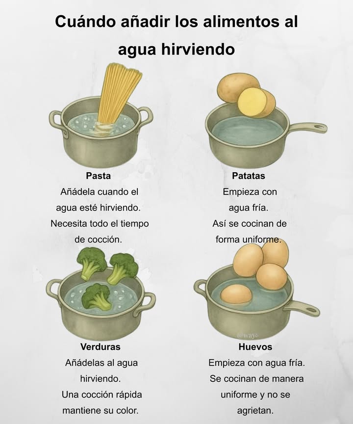 Cuándo añadir los alimentos al agua hirviendo 北 Pasta Añádela cuando el agua esté hirviendo. Necesita todo el tiempo de cocción para quedar al dente. 凜 Patatas Empieza con agua fría. Así se cocinan de forma uniforme desde el interior. 復 Verduras Añádelas al agua hirviendo. Una cocción rápida mantiene su color y textura. 讀 Huevos Empieza con agua fría. Se cocinan de manera uniforme y no se agrietan.