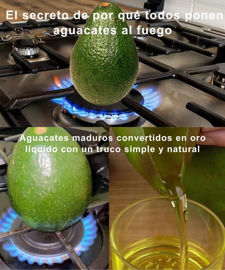 El secreto de por qué todos ponen aguacates al fuego
Aguacates maduros convertidos en oro líquido con un truco simple y natural

陋 De fruta cremosa a elixir nutritivo
Un método casero para aprovechar cada aguacate olvidado en la cocina y obtener aceite puro, lleno de beneficios para la salud y la piel.

 Paso a paso para extraer aceite de aguacate
1 Corta y prepara: abre el aguacate, retira el hueso y extrae la pulpa
2 Machaca bien: tritura hasta obtener un puré suave
3 Cocina a fuego bajo: calienta lentamente hasta que libere el aceite
4 Cuela y recoge: filtra y conserva el aceite dorado, denso y aromático

 El aceite de aguacate: un tesoro verde
 Antioxidante natural
 Protege el sistema nervioso y las células del páncreas
 Retrasa el envejecimiento
 Regula el colesterol y apoya la insulina

綾 Usos infinitos
Ensaladas, tostadas, cosmética natural o masajes relajantes.

 Ecológico y autosuficiente
Aprovecha aguacates muy maduros, sin conservantes y sin desperdicio.

 Una joya nutricional hecha en casa con tus propias manos.