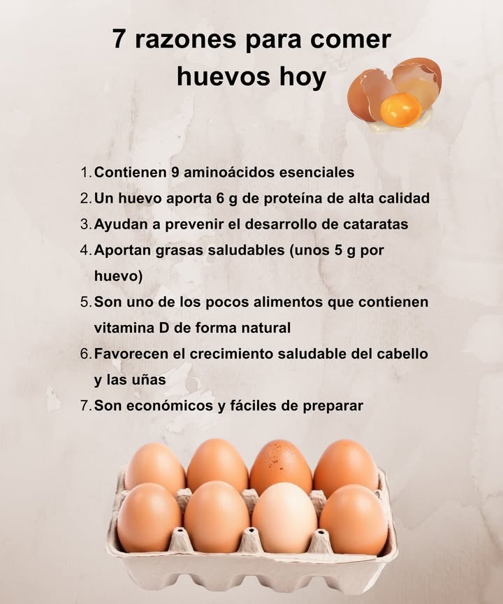 7 razones para comer huevos 讀

Contienen 9 aminoácidos esenciales.

Aportan 6 g de proteína de alta calidad por unidad.

Ayudan a prevenir cataratas y cuidar la vista.

Proveen grasas saludables unos 5 g por huevo.

Son fuente natural de vitamina D.

Favorecen el crecimiento del cabello y las uñas.

Son económicos, versátiles y fáciles de preparar.

 Un pequeño alimento con un gran valor nutricional.