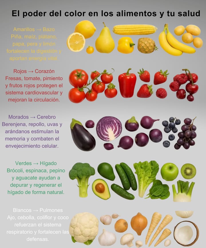 El poder del color en los alimentos y tu salud

 Amarillos  Bazo
Piña, maíz, plátano, papa, pera y limón fortalecen la digestión y aportan energía vital.

 Rojos  Corazón
Fresas, tomate, pimiento y frutos rojos protegen el sistema cardiovascular y mejoran la circulación.

 Morados  Cerebro
Berenjena, repollo, uvas y arándanos estimulan la memoria y combaten el envejecimiento celular.

 Verdes  Hígado
Brócoli, espinaca, pepino y aguacate ayudan a depurar y regenerar el hígado de forma natural.

懶 Blancos  Pulmones
Ajo, cebolla, coliflor y coco refuerzan el sistema respiratorio y fortalecen las defensas.

復 Cada color alimenta un órgano, cada bocado es energía y salud.