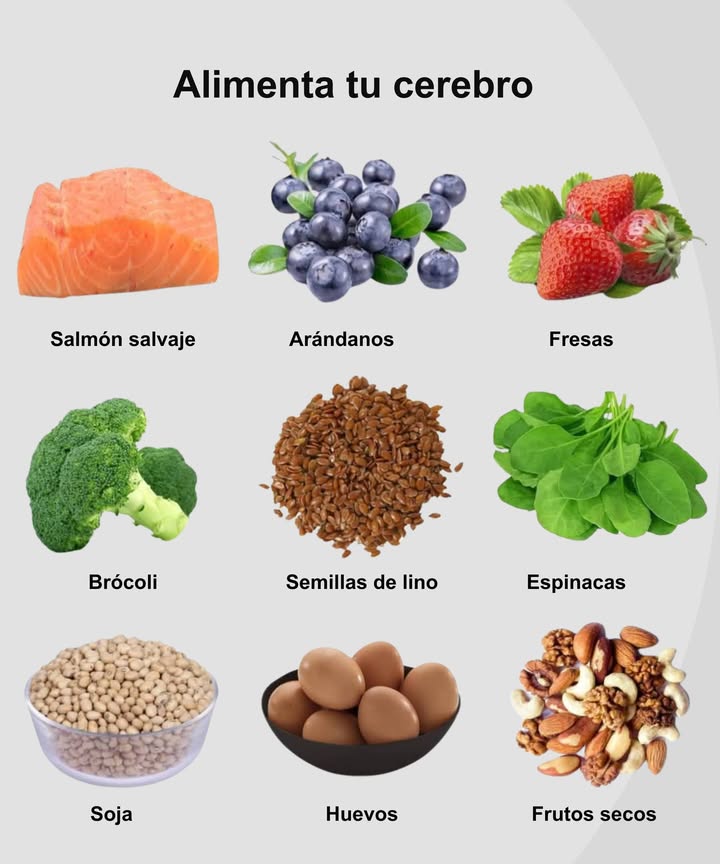 易 Alimenta tu Cerebro 

 Salmón salvaje  fuente natural de omega-3 que potencia la memoria.
𢡄 Arándanos  ricos en antioxidantes que protegen las neuronas.
 Fresas  estimulan la concentración y combaten el envejecimiento cerebral.
復 Brócoli  mejora las funciones cognitivas y la memoria.
 Semillas de lino  aportan grasas saludables y energía mental.
 Espinacas  ricas en hierro y ácido fólico para un cerebro activo.
北 Soja  fortalece la comunicación entre neuronas.
讀 Huevos  fuente de colina, esencial para la memoria.
樂 Frutos secos  mejoran la concentración y el rendimiento mental.

 Una mente clara comienza con una alimentación consciente y nutritiva.