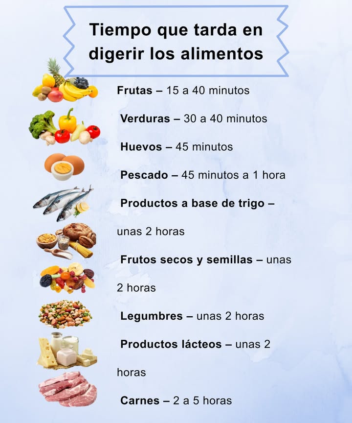 Tiempo que tarda en digerir los alimentos