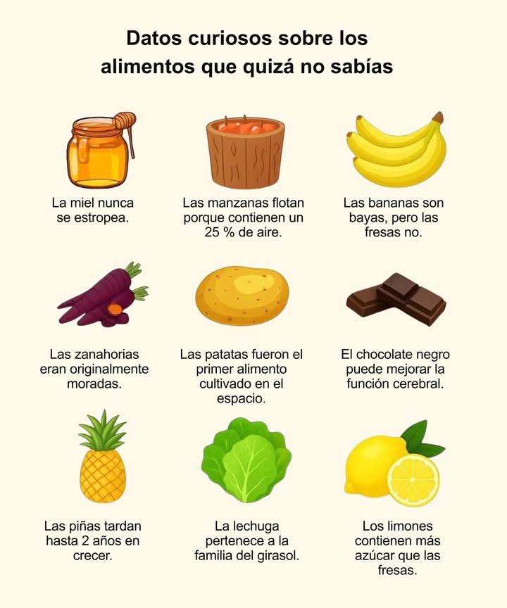 陋 Datos curiosos sobre los alimentos

 La miel nunca se estropea.
 Las manzanas flotan porque contienen un 25 % de aire.
 Las bananas son bayas, pero las fresas no.
凌 Las zanahorias eran originalmente moradas.
凜 Las patatas fueron el primer alimento cultivado en el espacio.
 El chocolate negro puede mejorar la función cerebral.
 Las piñas tardan hasta 2 años en crecer.
塞 La lechuga pertenece a la familia del girasol.
 Los limones contienen más azúcar que las fresas.